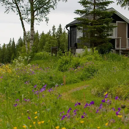 Camping In Nature Shared Bathroom Velfjord