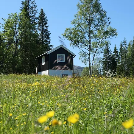 Camping In Nature Shared Bathroom Velfjord